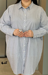 زدگی 10 درصد